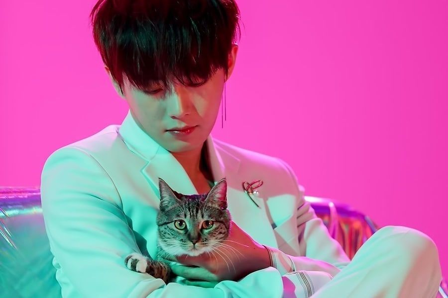 Choon Entertainment publica declaración oficial que explica la situación del gato de Longguo